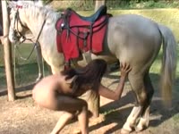 Big horse dick destroying a naked petite lady's pussy